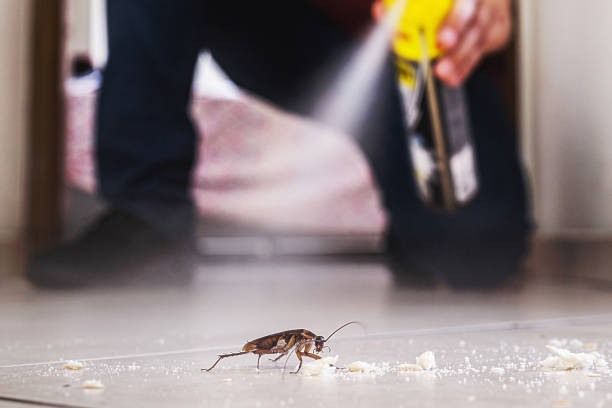 Best Residential Pest Control  in Poteau, OK