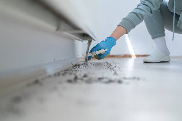 Best Pest Prevention Services  in Poteau, OK